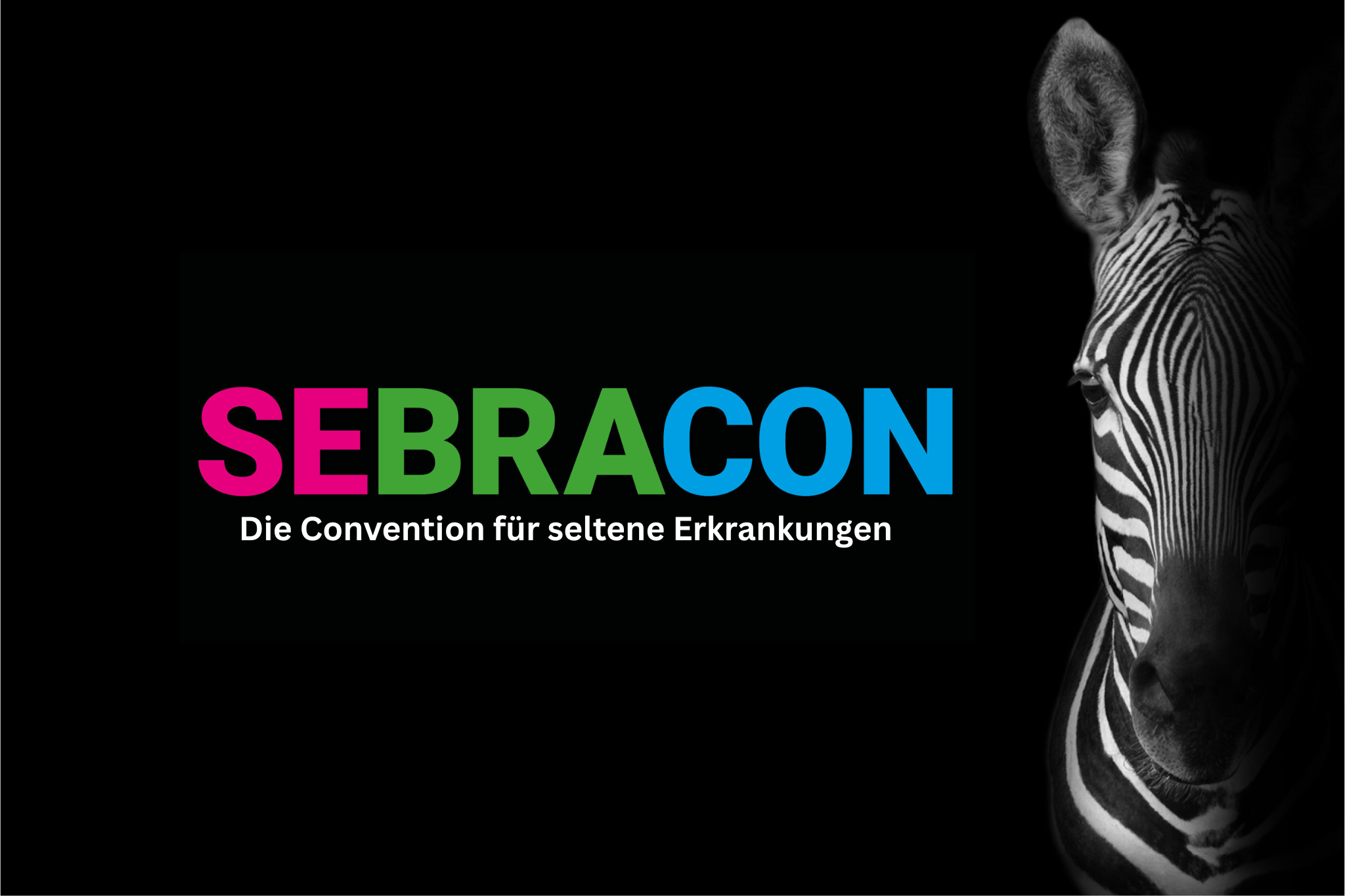 Ein horizontales Grafik-Banner mit tiefschwarzem Hintergrund. Auf der linken Seite befindet sich der zentrierte Text. Das Wort 'SEBRACON' ist groß und fett gedruckt, wobei die Buchstaben einen lebendigen Farbübergang von Magenta zu Blau haben. Darunter steht in kleinerer, weißer Schrift der Untertitel: 'Die Convention für seltene Erkrankungen'. Auf der rechten Seite ragt der halbe Kopf eines Zebras von oben in das Bild, detailliert und scharf dargestellt, im starken Kontrast zum dunklen Hintergrund.